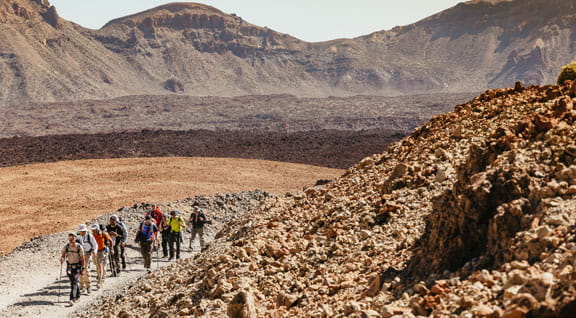 Excursiones terrestres
