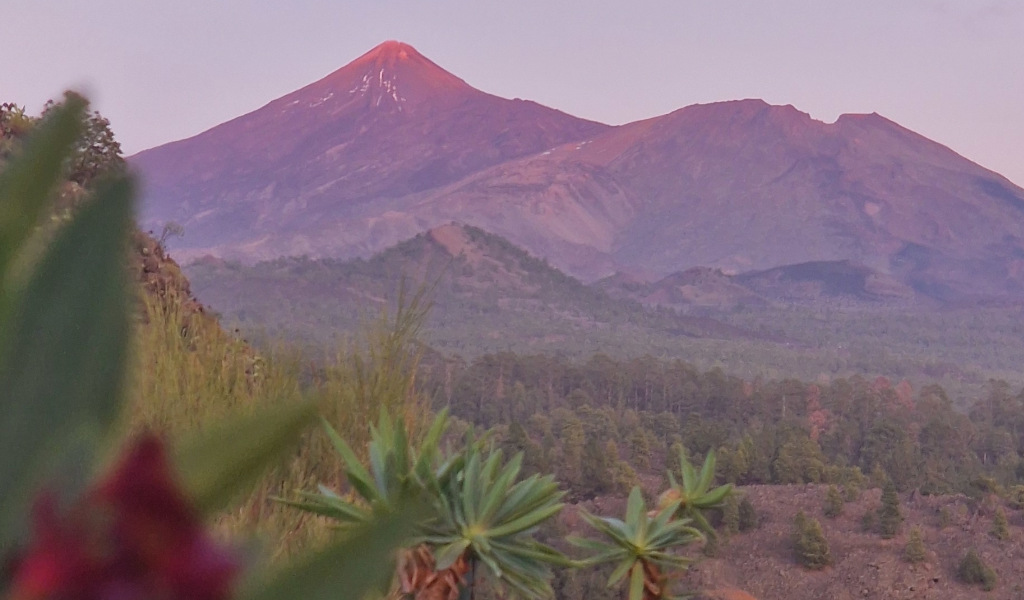 Vista del Teide y paisaje natural en Tenerife al atardecer.