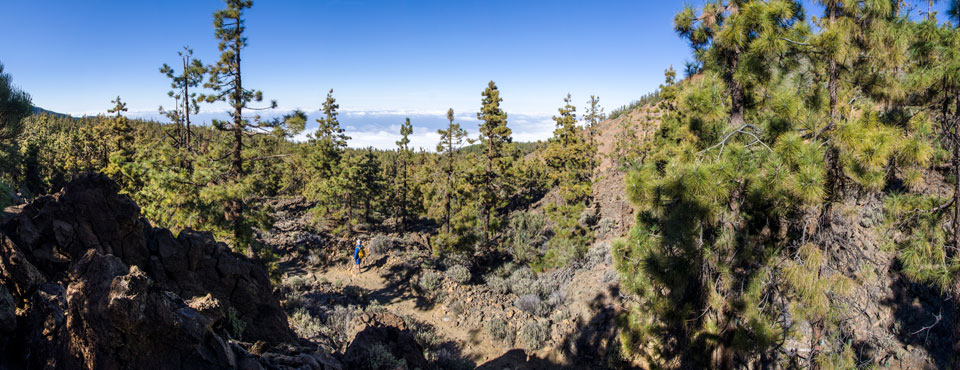 GR 131 Anaga - Chasna. Tramo: Área Recreativa La Caldera - El Portillo