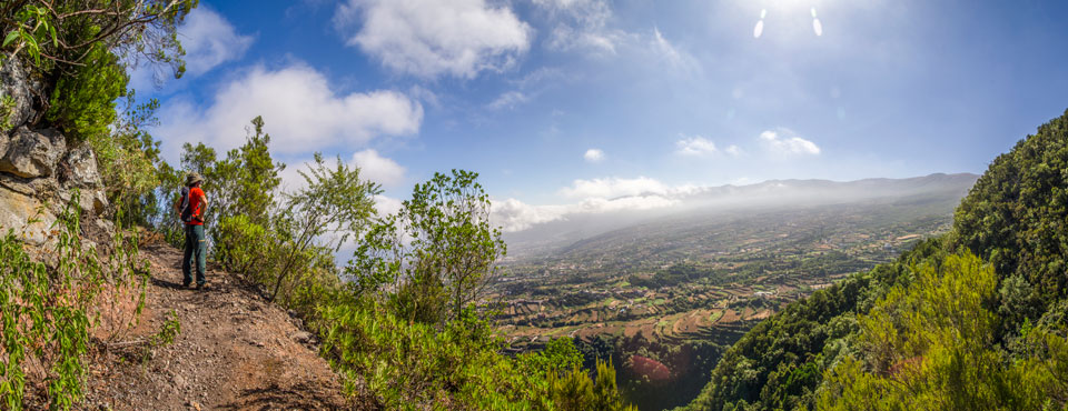 PR-TF 40.1 Camino Punta del Risco
