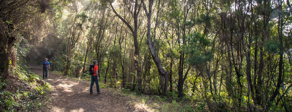 Pista de Las Hiedras