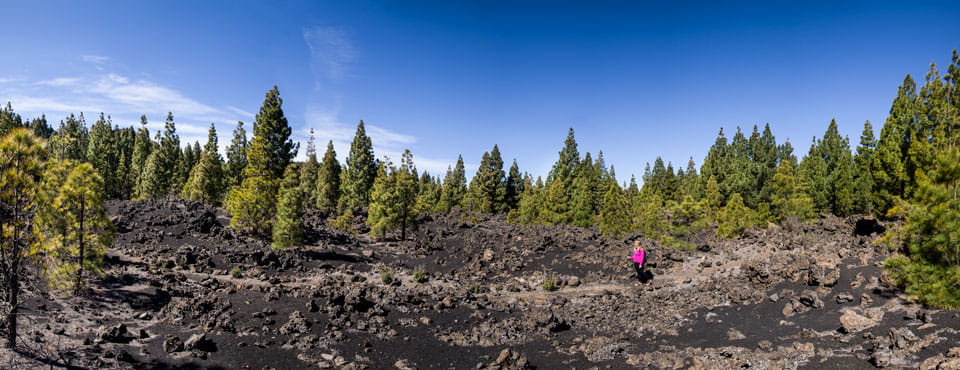 PR-TF 43.2 Los Partidos de Franquis - Chinyero