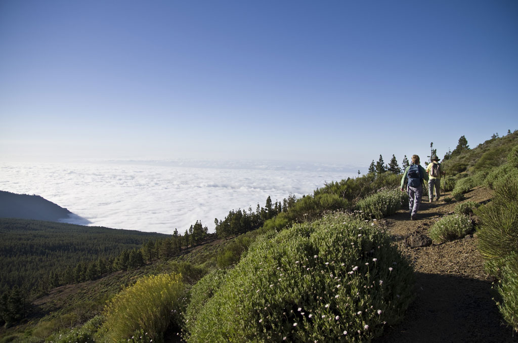 Personas caminando por un sendero en las montañas de Tenerife con vista a un mar de nubes.