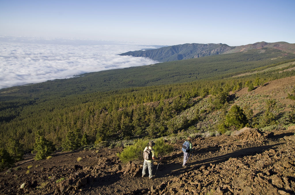 Senderistas en un camino montañoso con vistas al bosque y nubes en Tenerife.
