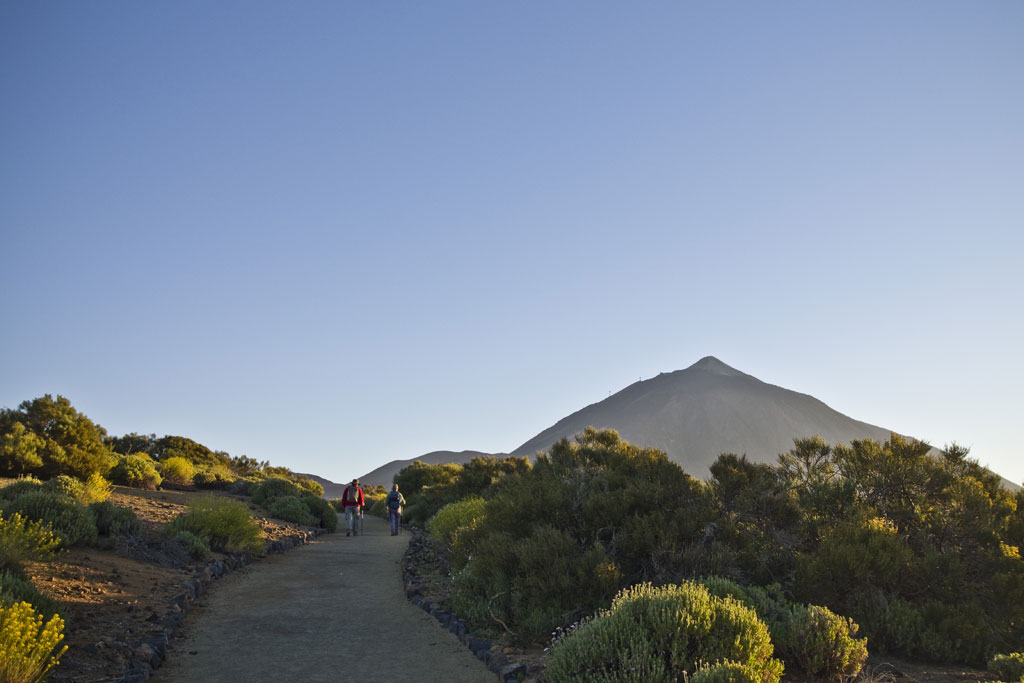 Sendero hacia el Teide con montañas al fondo en Tenerife.