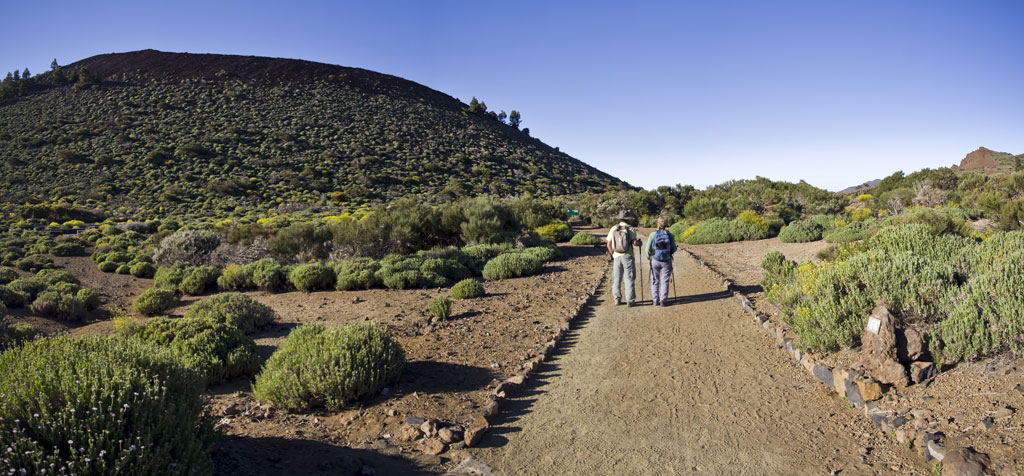 Personas caminando en sendero rodeado de vegetación en El Teide, Tenerife.