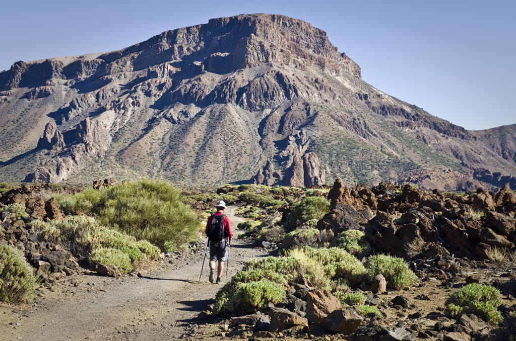 16. Sanatorio 16. Sanatorio