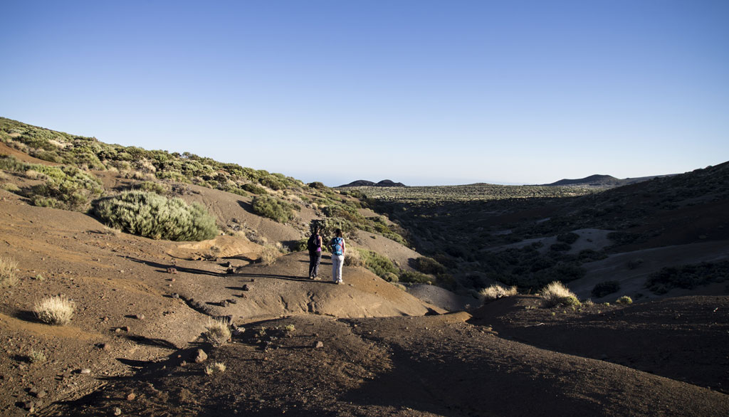 Personas caminando en un sendero en el paisaje árido del Teide, Tenerife.