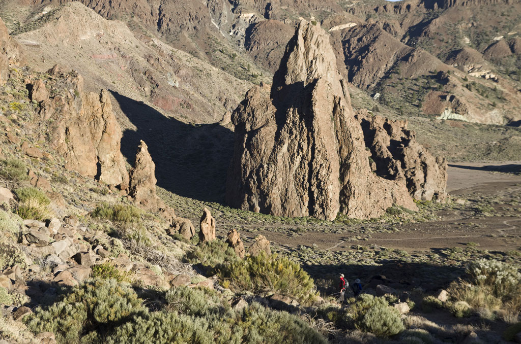 Formaciones rocosas en el Parque Nacional del Teide, Tenerife, con vegetación en primer plano.