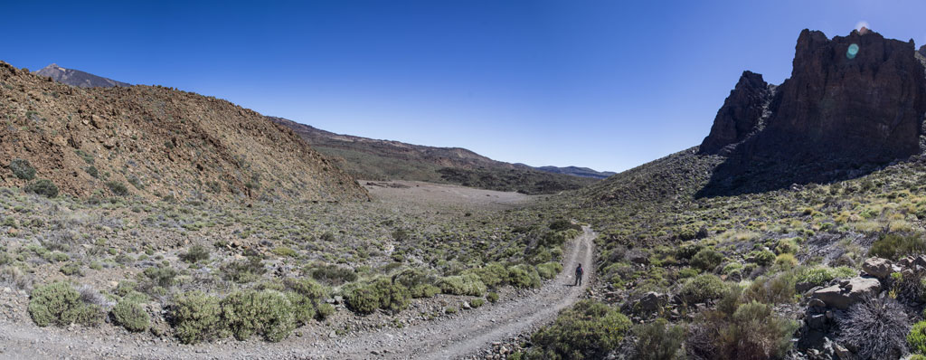 Camino de tierra rodeado de montañas y vegetación en el Parque Nacional del Teide, Tenerife.