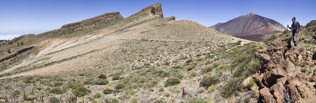 Sendero en el Parque Nacional del Teide, Tenerife, con un excursionista y el volcán al fondo.