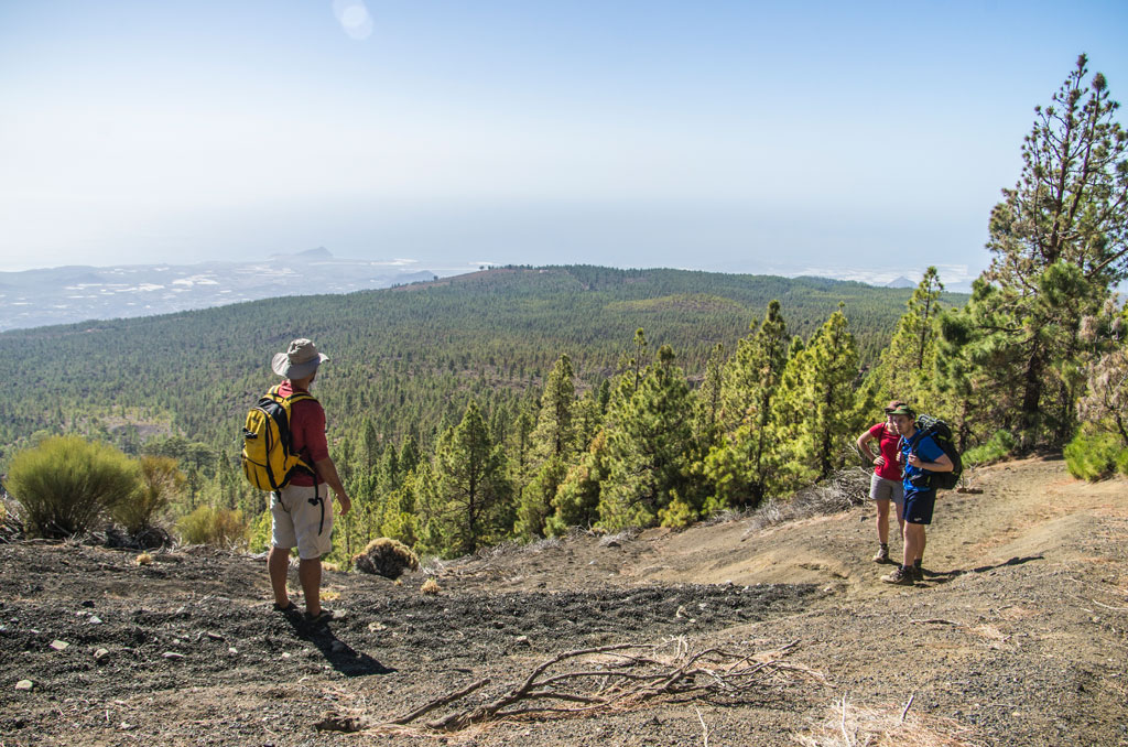Senderistas en un bosque de pinos con vista al mar en Tenerife.