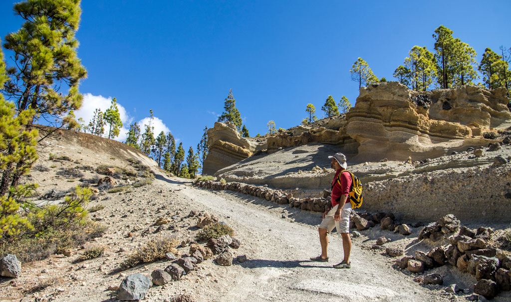 Senderista en el Paisaje Lunar de Tenerife, rodeado de formaciones rocosas y pinos.
