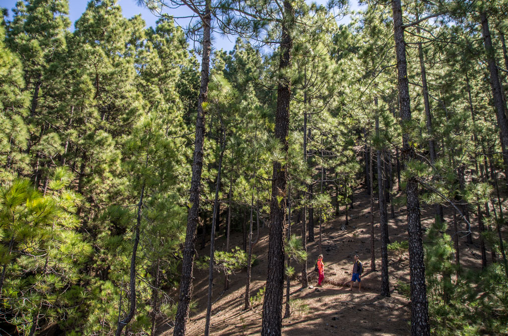 gr-131-anaga-chasna-tramo-esperanza-area-recreativa-caldera-gal01.jpg