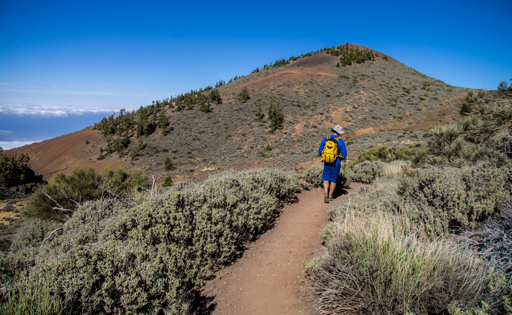 Persona caminando por un sendero en el Parque Nacional del Teide, Tenerife.