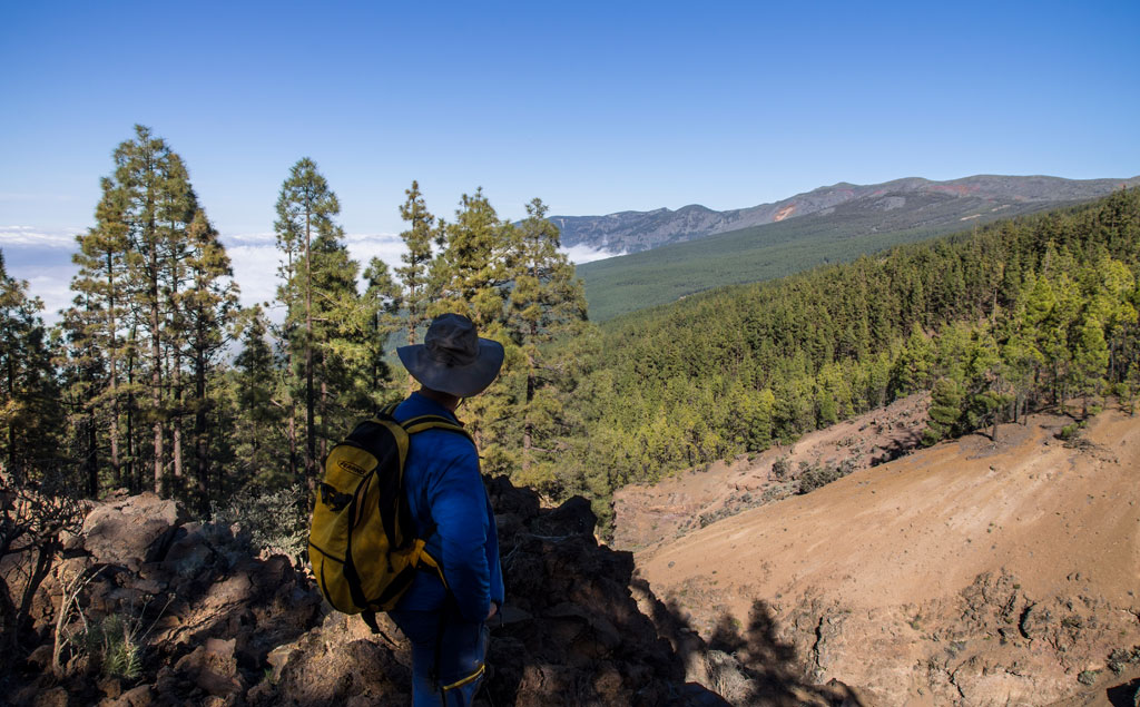 Persona con mochila mirando paisaje montañoso y bosque de pinos en Tenerife.