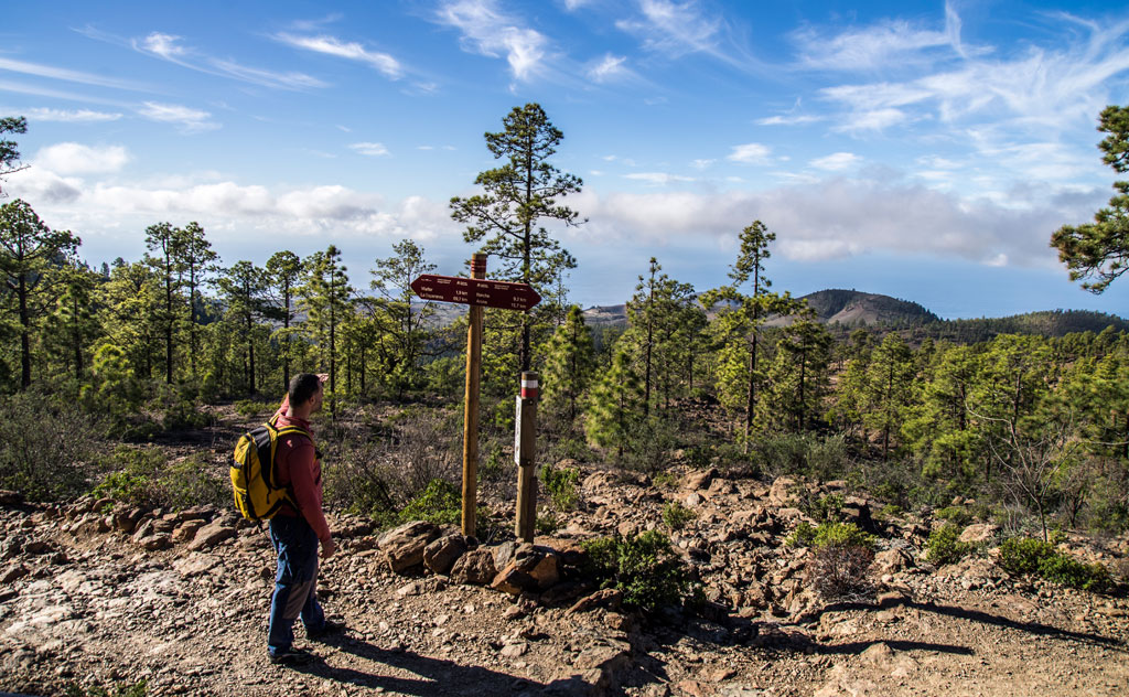 Hombre con mochila observa señales en sendero de pinos en Tenerife.