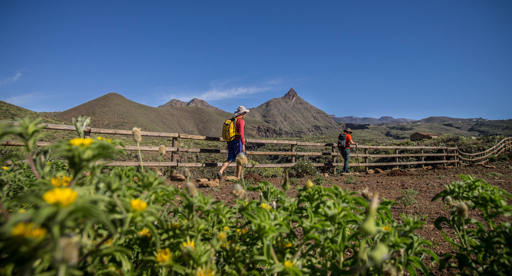 Senderistas caminando en un sendero cerca de las montañas del paisaje rural en Tenerife.