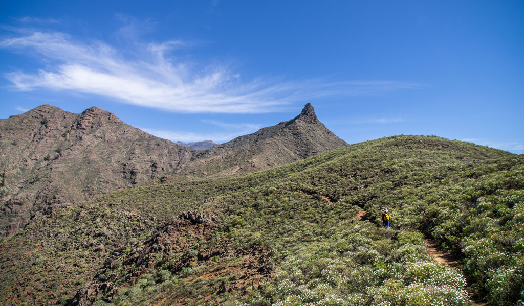 Sendero montañoso en el Parque Rural de Teno, Tenerife.
