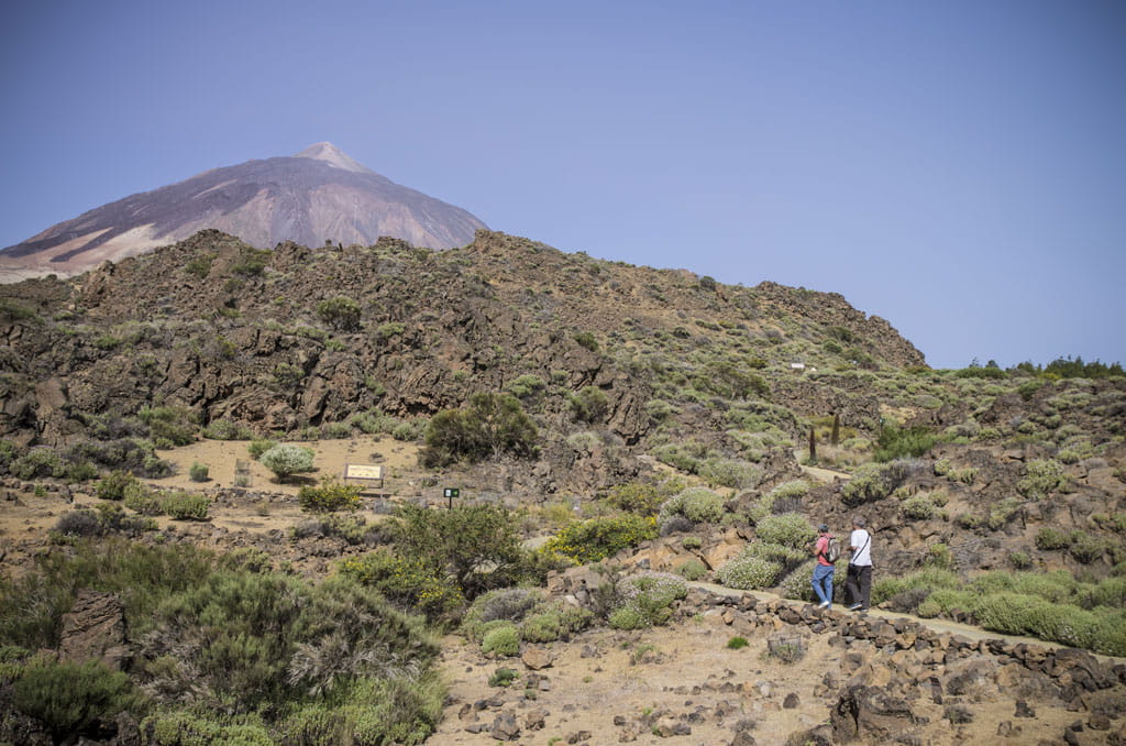 Sendero en Parque Nacional del Teide con dos personas caminando y volcán al fondo.