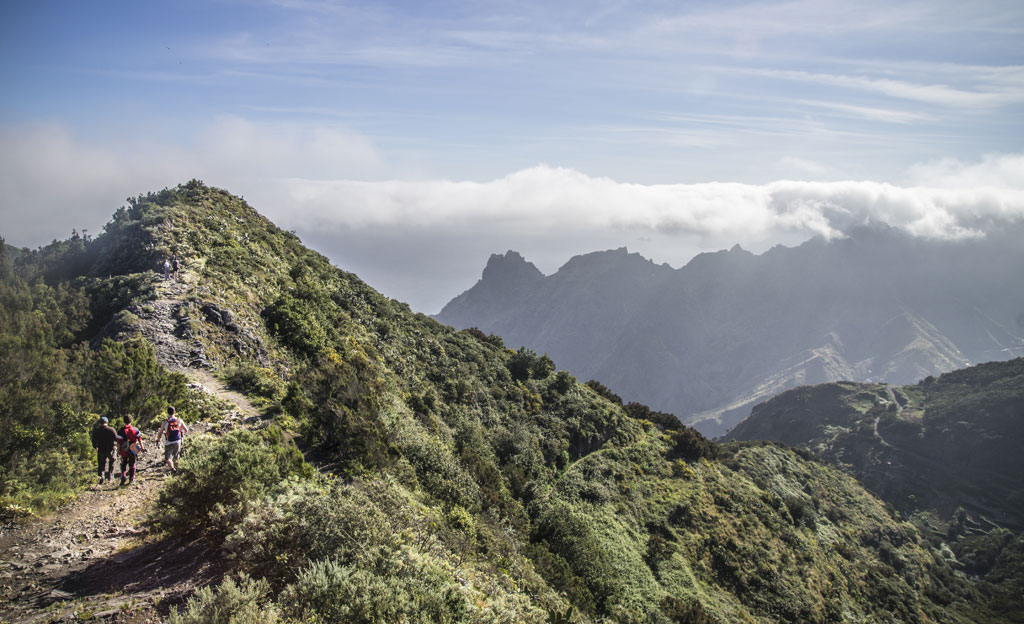 Sendero montañoso en Tenerife con excursionistas y nubes sobre el horizonte.