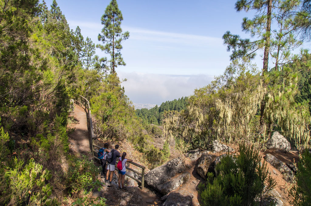 Sendero en bosque en Tenerife con personas caminando y paisaje de fondo.