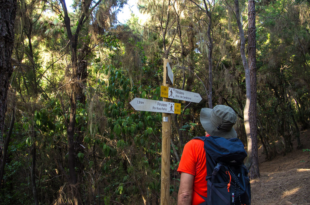 Persona observando señalamientos de sendero en bosque de Pinolere, Tenerife.