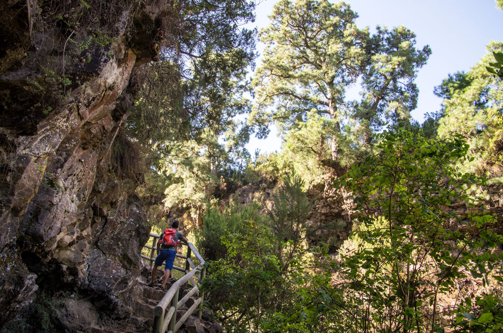 Persona caminando por un sendero rocoso en el bosque de Anaga, Tenerife.