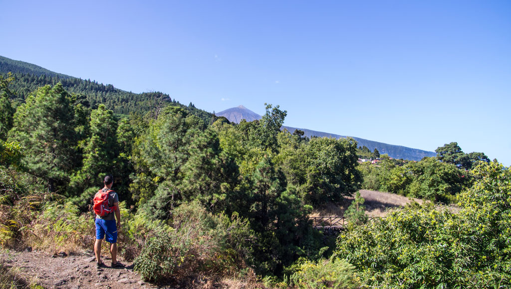 Persona con mochila roja caminando entre árboles en Tenerife, con montaña al fondo.