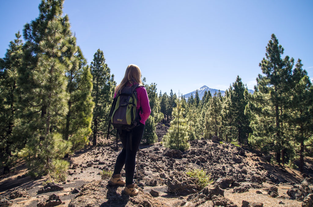 Persona con mochila caminando por sendero en bosque de Tenerife, con montaña al fondo.