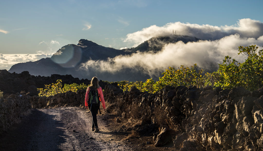 Persona caminando por sendero montañoso en Tenerife, rodeada de nubes y vegetación.