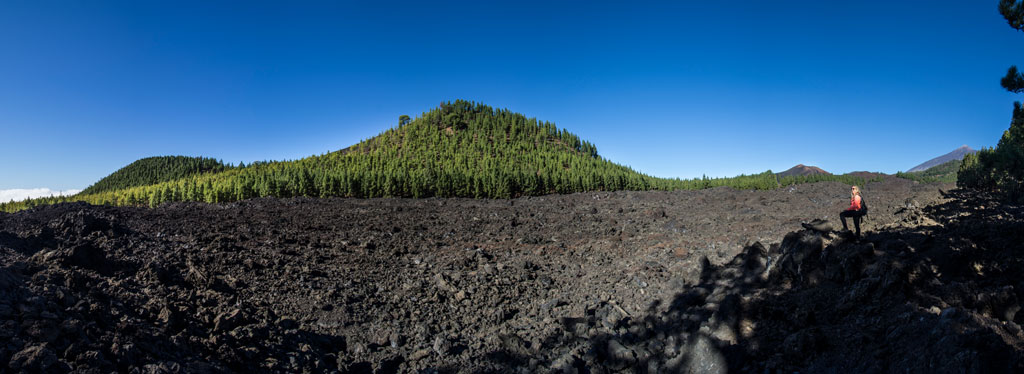 Campo de lava y bosque verde en Vilaflor, Tenerife, con cielo despejado.