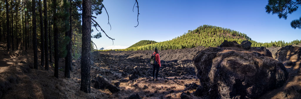 Persona de pie en paisaje volcánico con pinos en Tenerife.