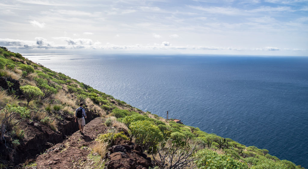 Sendero junto al mar en un acantilado verde en Tenerife, cielo despejado.