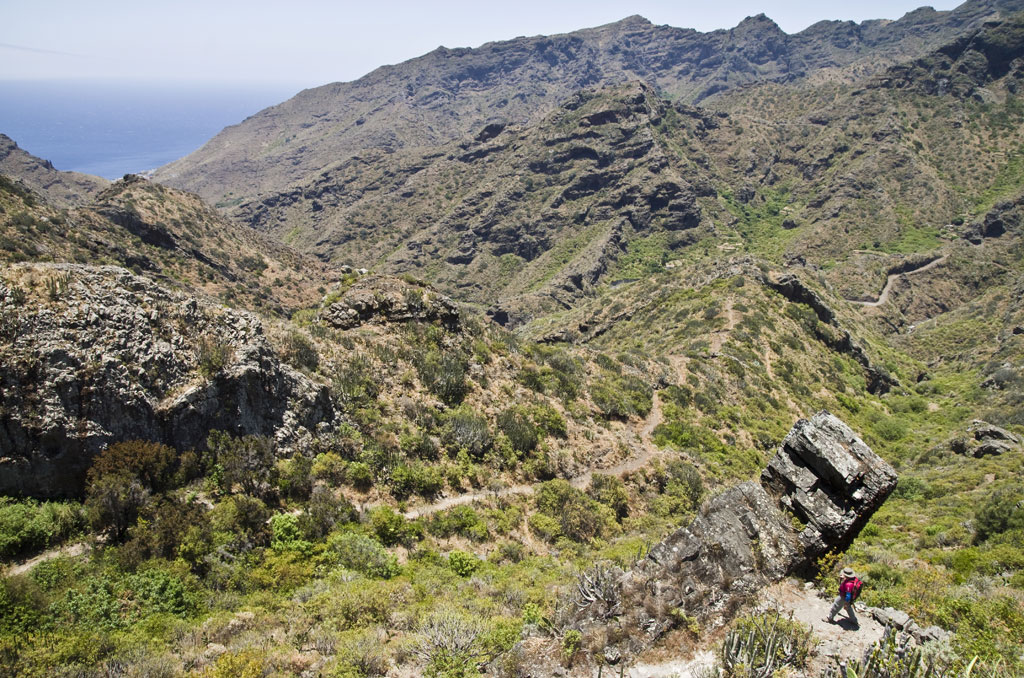 Sendero montañoso en Teno, Tenerife, con una persona caminando entre rocas y vegetación.