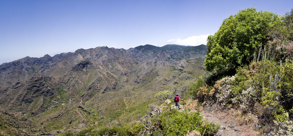 Sendero montañoso en el Parque Rural de Teno, Tenerife, con vistas panorámicas.