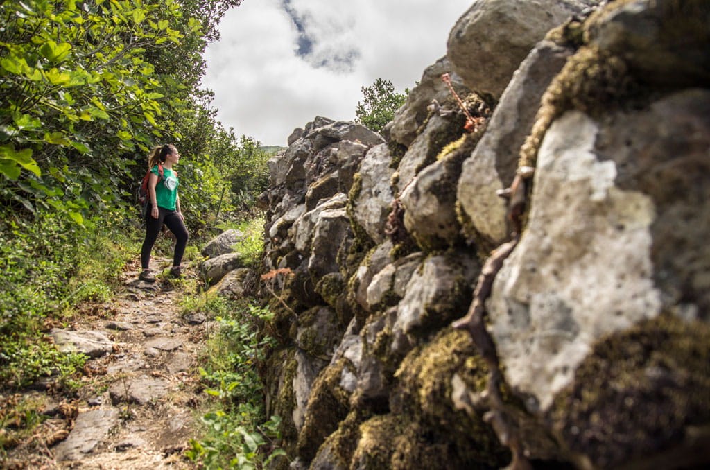 pr-tf-52-2-monte-del-agua-las-lagunetas-gal02.jpg