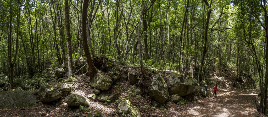 Sendero con grandes rocas y árboles en el Parque Rural de Anaga, Tenerife.