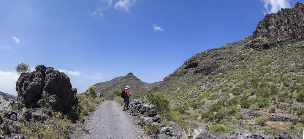 Sendero de montaña con una persona caminando, rodeado de rocas y vegetación en Tenerife.