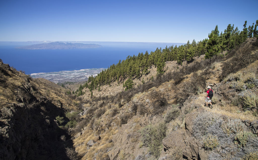 Senderismo en barranco de Tenerife con vista al mar y vegetación.