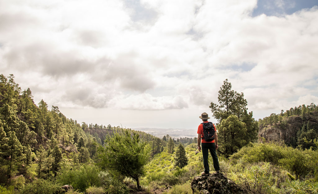 Persona con mochila mirando bosque en un sendero de Tenerife.