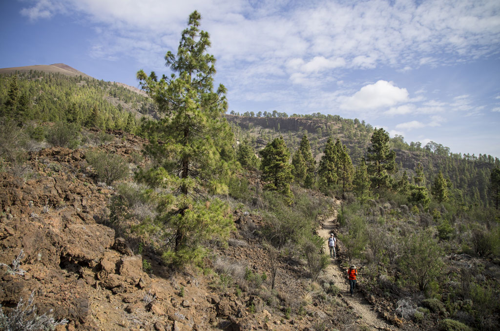 Sendero con excursionistas en un paisaje montañoso de Tenerife.