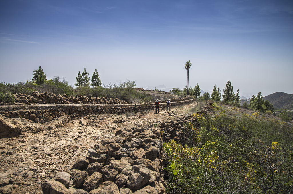 Sendero rocoso con caminantes y vegetación en Tenerife bajo un cielo despejado.