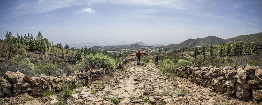 Sendero rocoso entre árboles en un paisaje montañoso de Tenerife.