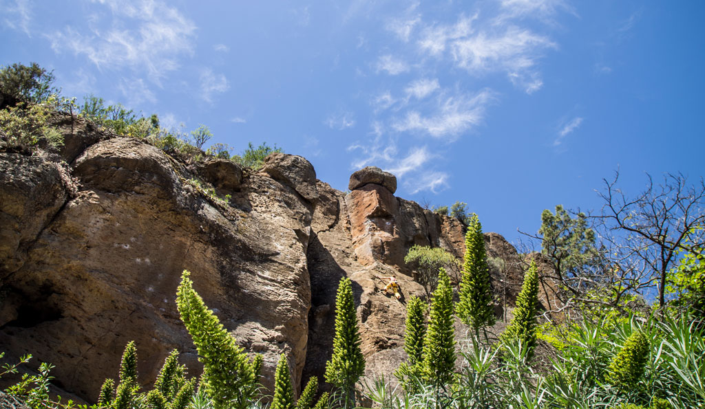 Rocas y plantas bajo un cielo azul en un paisaje de Tenerife.