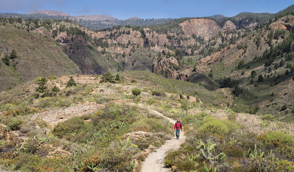 Sendero en un paisaje montañoso de Tenerife, rodeado de vegetación y un caminante solo.