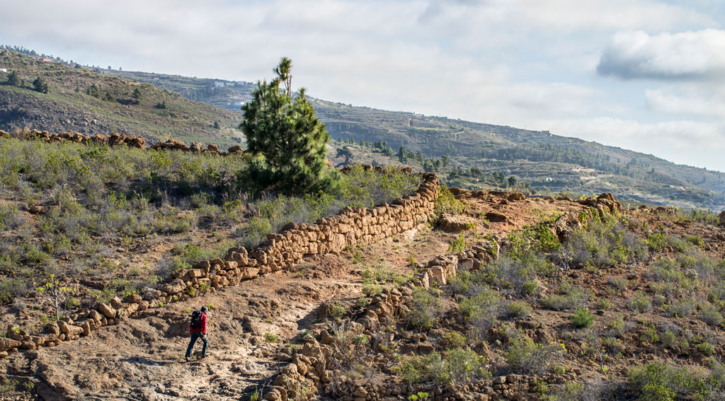 Sendero con caminante en el paisaje montañoso de Tenerife, rodeado de matorrales y piedras.
