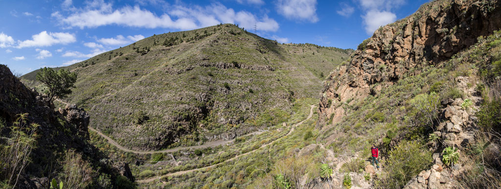 Valle montañoso en Tenerife con sendero cubierto de vegetación y cielo azul.