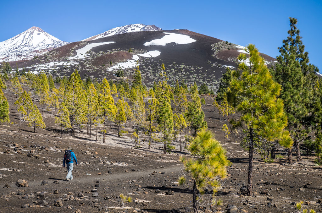sendero-32-abeque-parque-nacional-teide-gal01.jpg