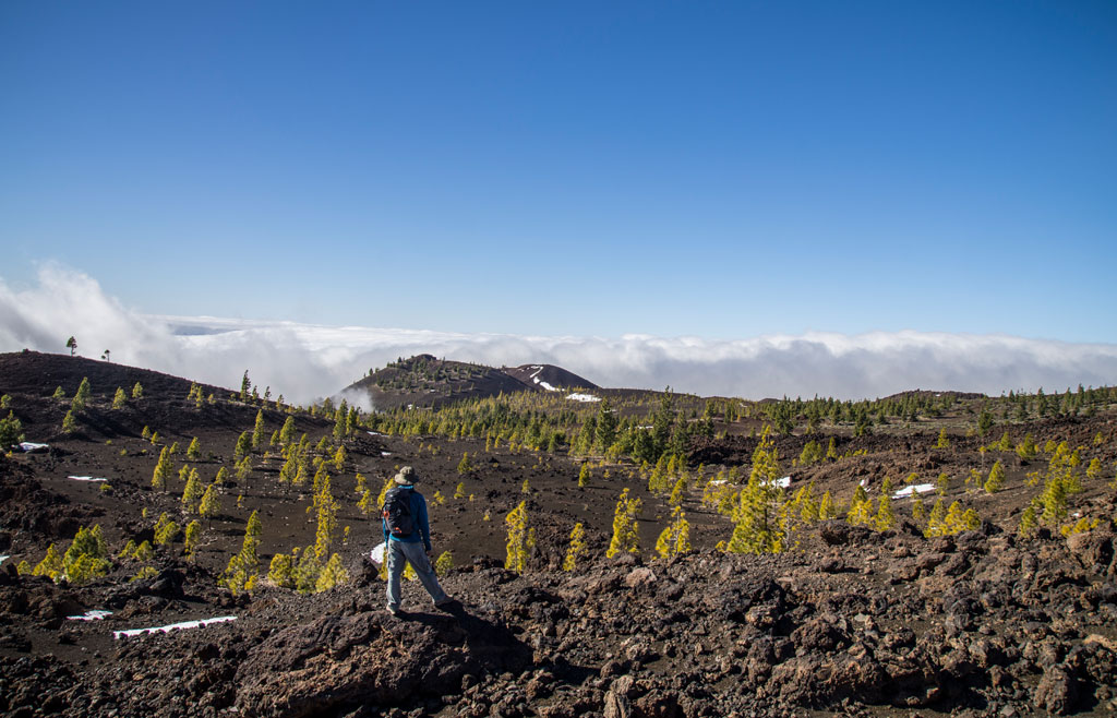 sendero-32-abeque-parque-nacional-teide-gal02.jpg